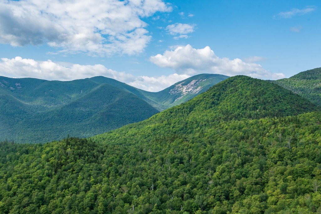 Giant Mountain and Green Mountain as seen from Owls Head Lookout