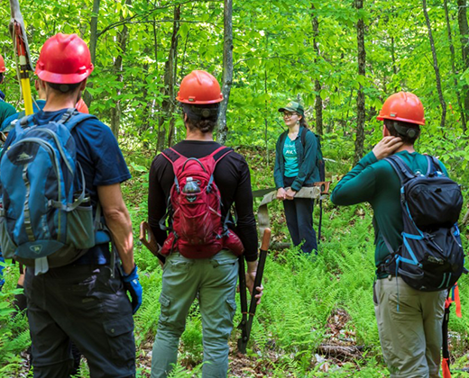 trail volunteers in hard hats in the woods