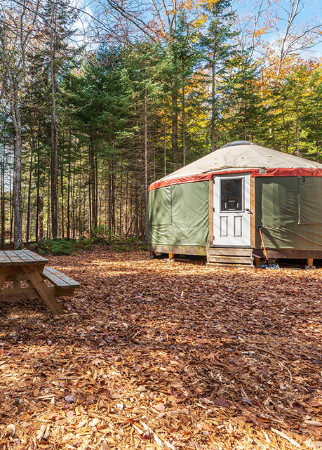 Camping Yurt exterior