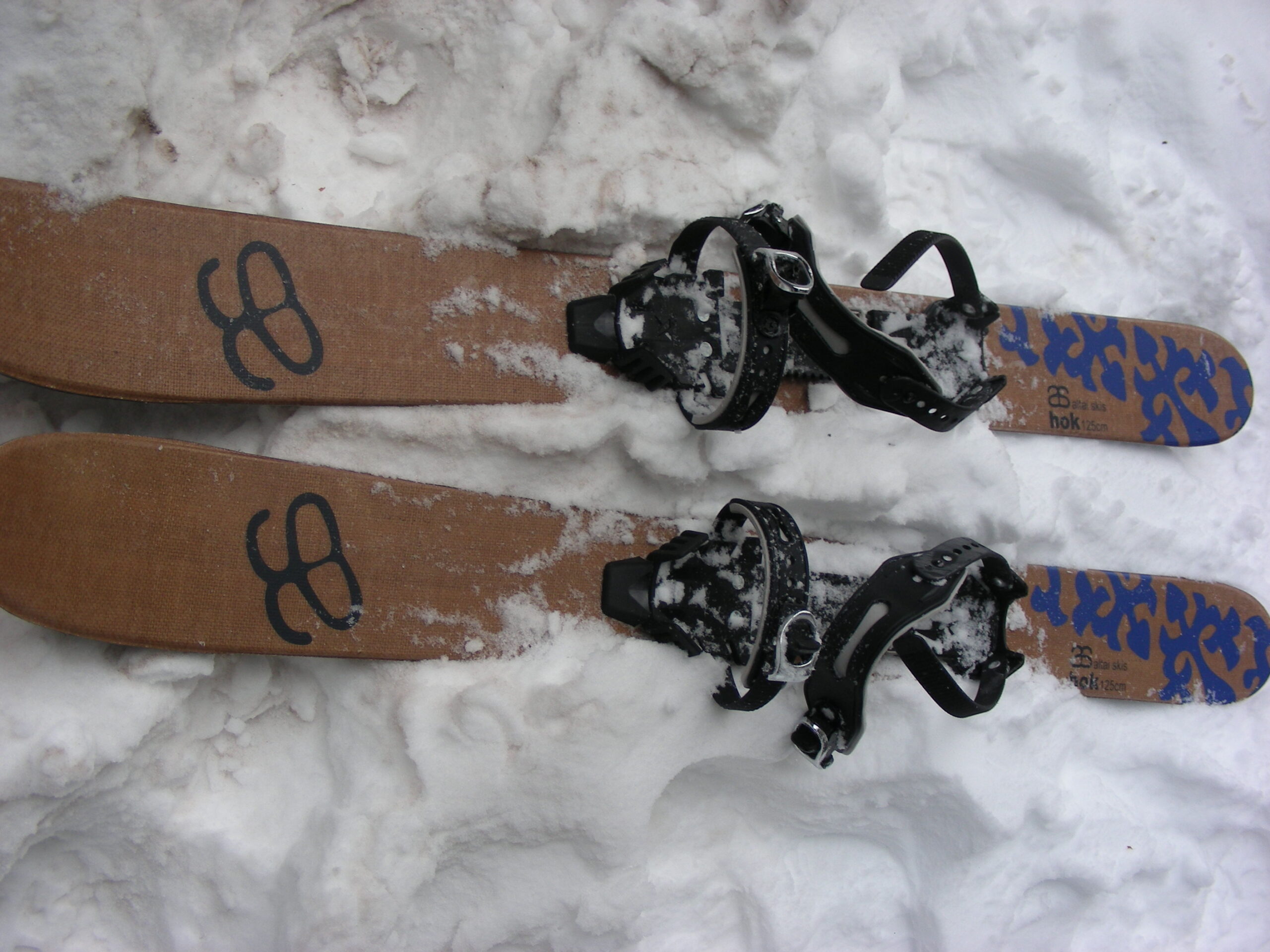 taal zoom kleur Gear Review: Altai Hok Skis | Adirondack Mountain Club