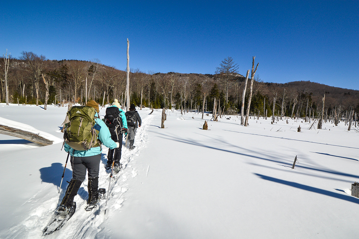 a group snowshoeing in the Adirondack backcountry