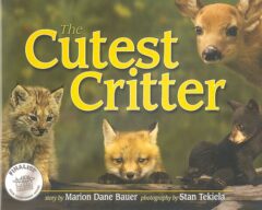 The Cutest Critter Book