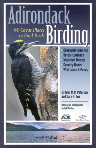 Adirondack Birding book