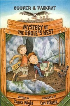 Mystery of the Eagle's Nest Book
