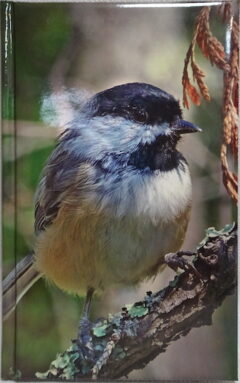 Journal with image of chickadee on cover
