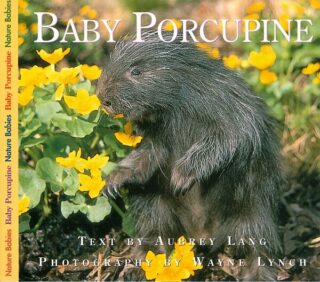 Baby Porcupine Book