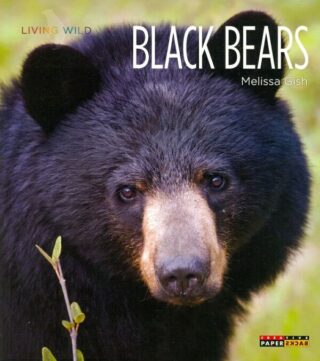 Living Wild Black Bears Book