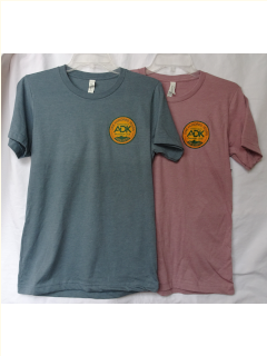 one slate t-shirt and one orchid t-shirt both with orange and green centennial logo