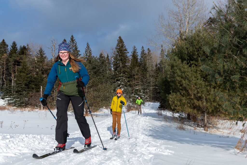 Two skiers on a trail