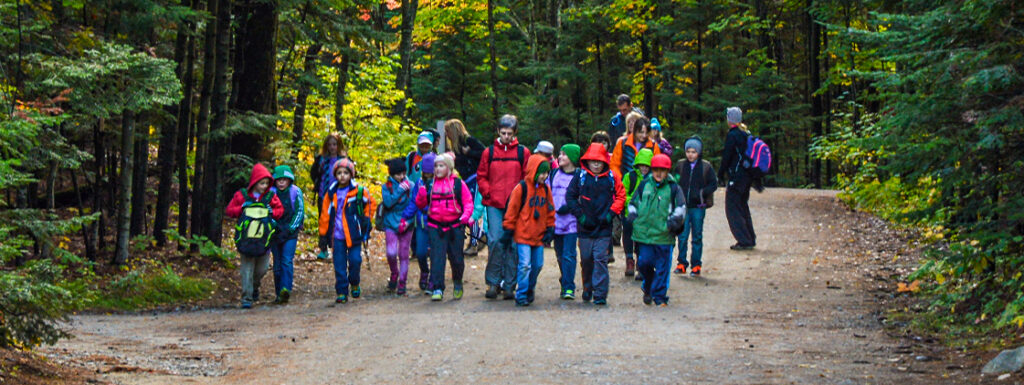 3 Seasons group walking