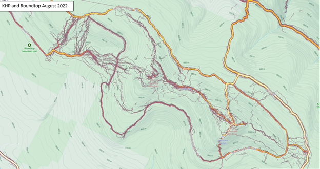 A Strava map