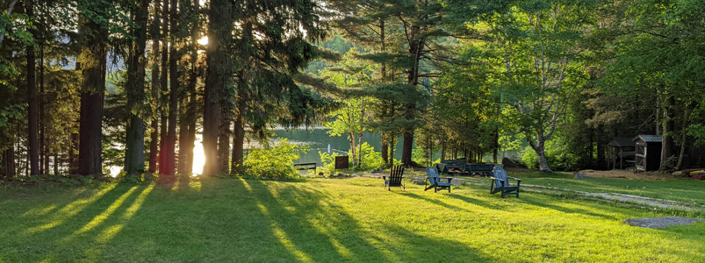 Golden hour on the lawn at Heart Lake