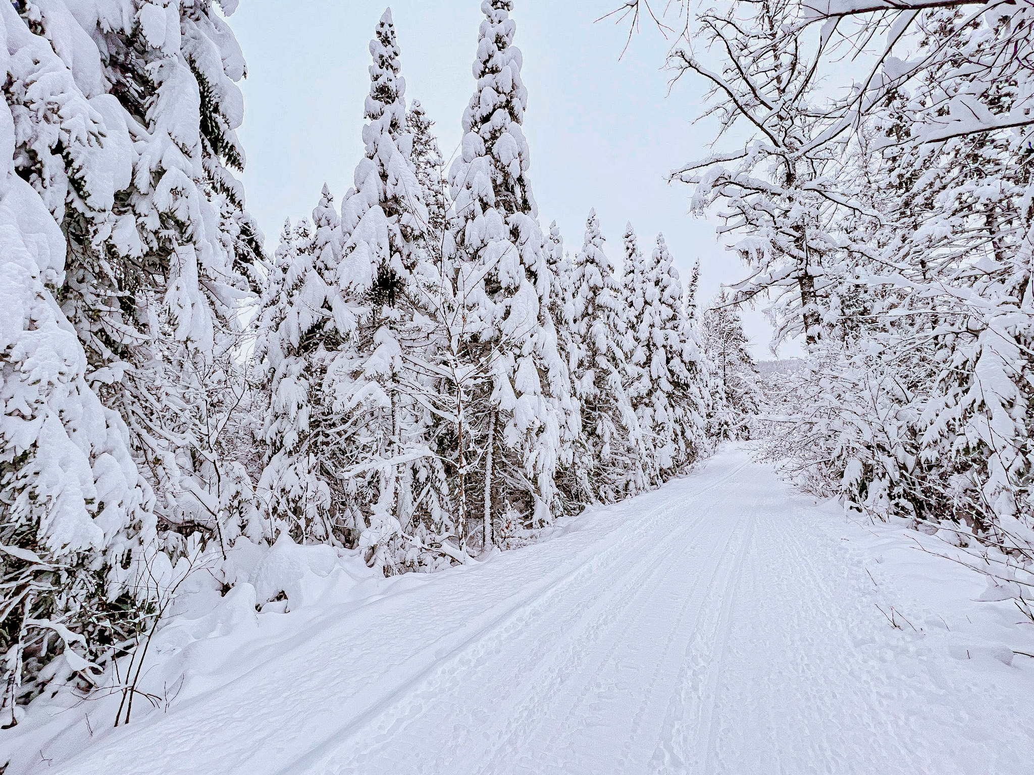 Ski Trail