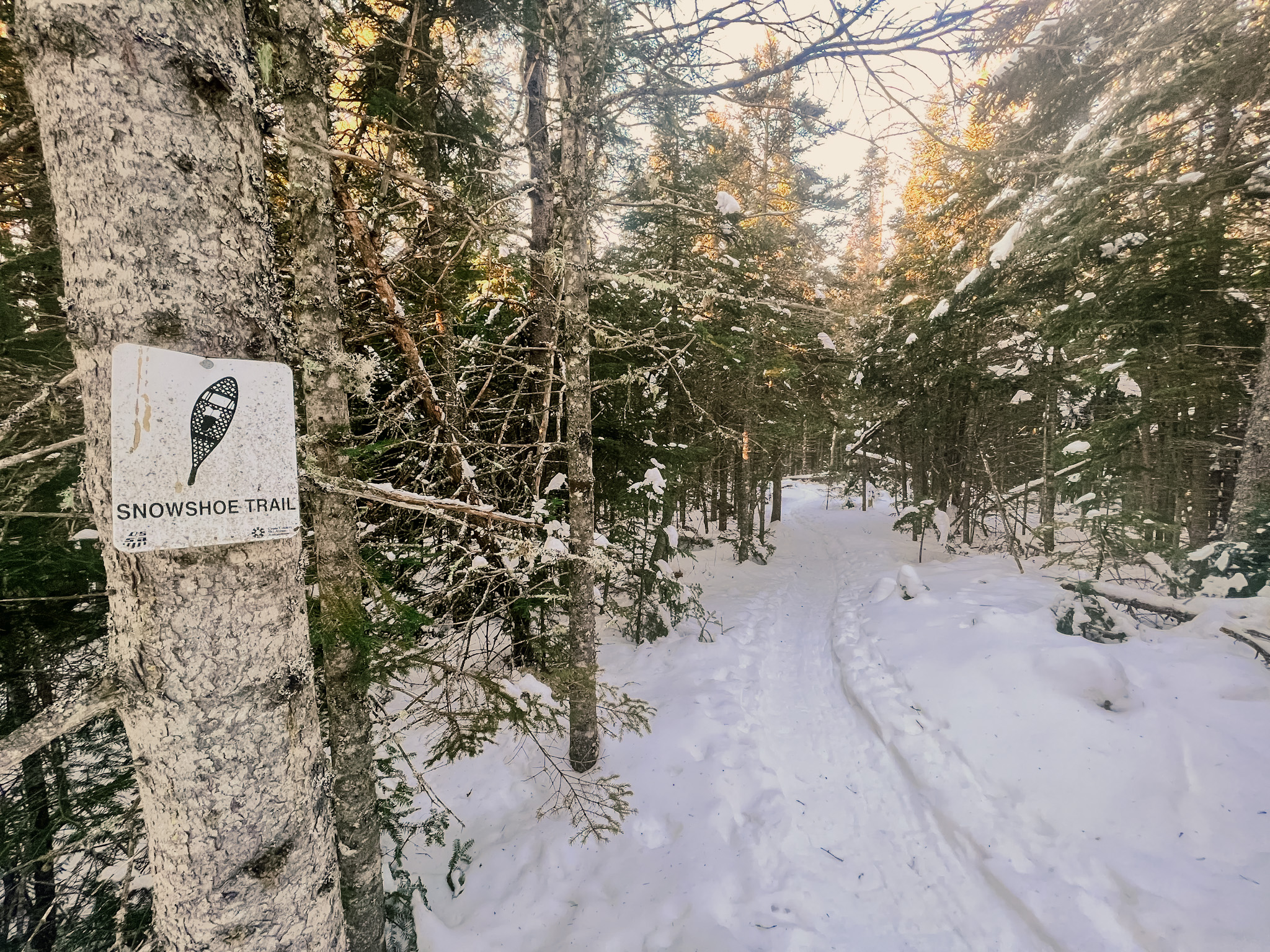 Snowshoe Trail