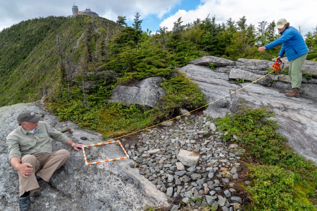 Two people stretch a measuring tape over a rock