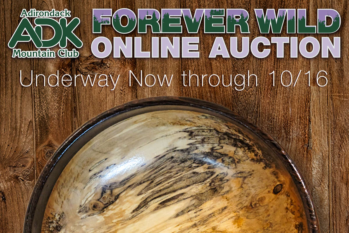 Forever Wild Online Auction 2023
