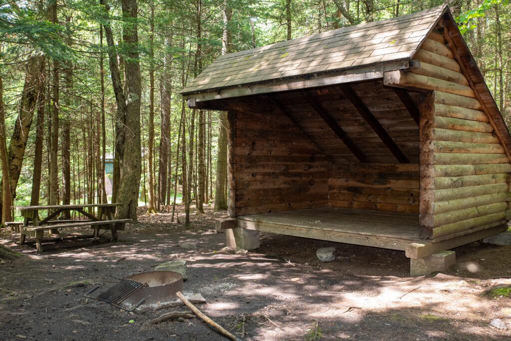 a lean-to in the woods in the Adirondacks