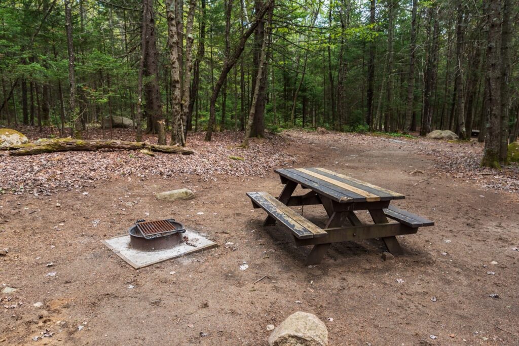 adirondack campsite with a fire ring and picnic table