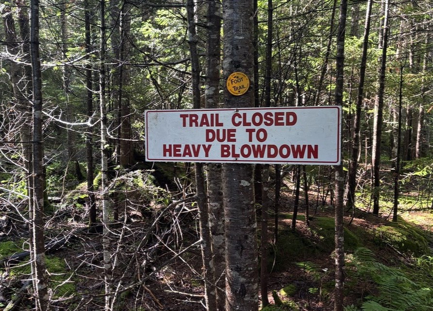 a sign in the woods stating that a trail is closed