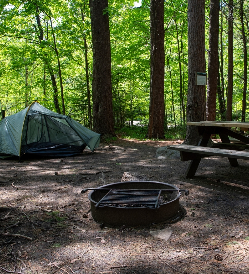 a tent, picnic table, and fire ring at a campsite in the adirondacks