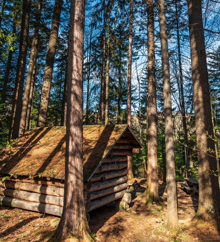 a lean-to in the Adirondacks
