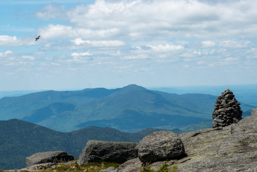 landscape photo from the summit of Algonquin Peak