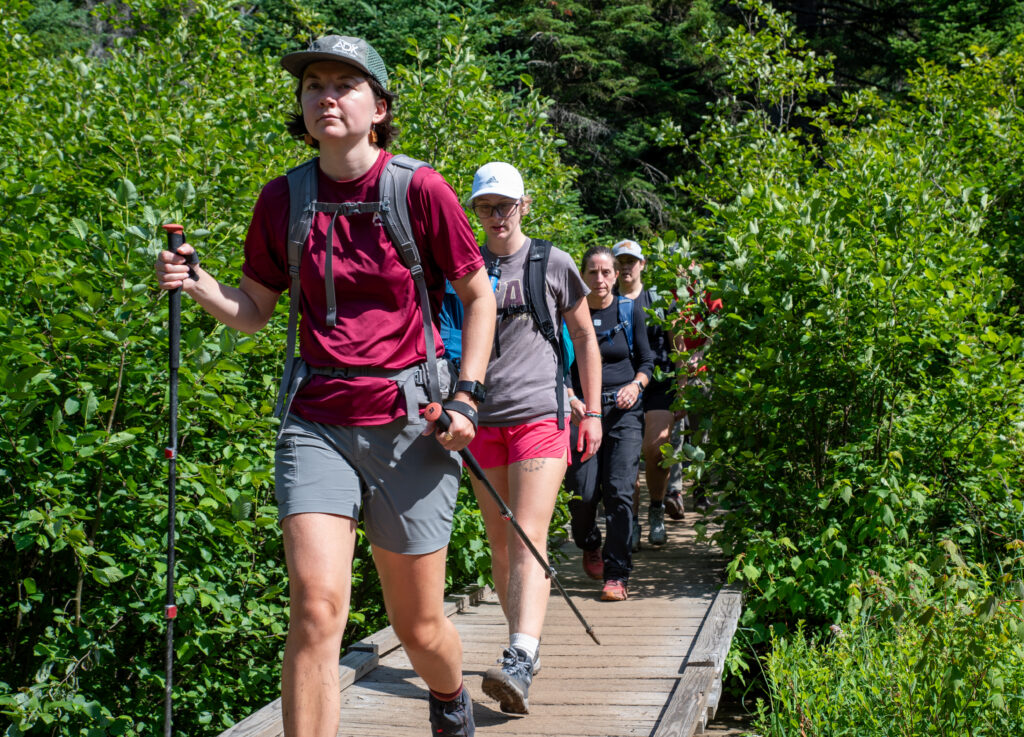 a group of hikers cross a bridge in the woods