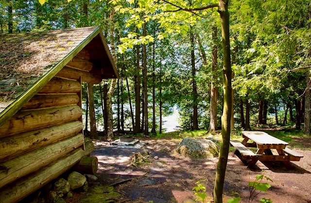 Lean to and picnic table in forest by lake