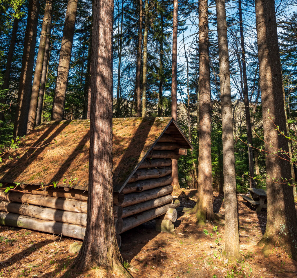 an adirondack lean-to in the woods