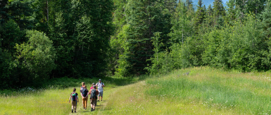 Naturalist walking with 5 hikers
