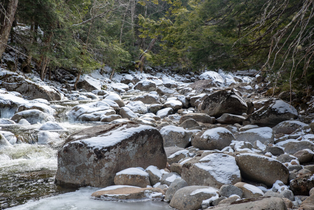 Johns Brook in Spring