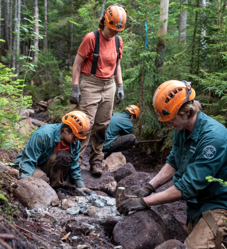 four trail crew members working on a bit of trail