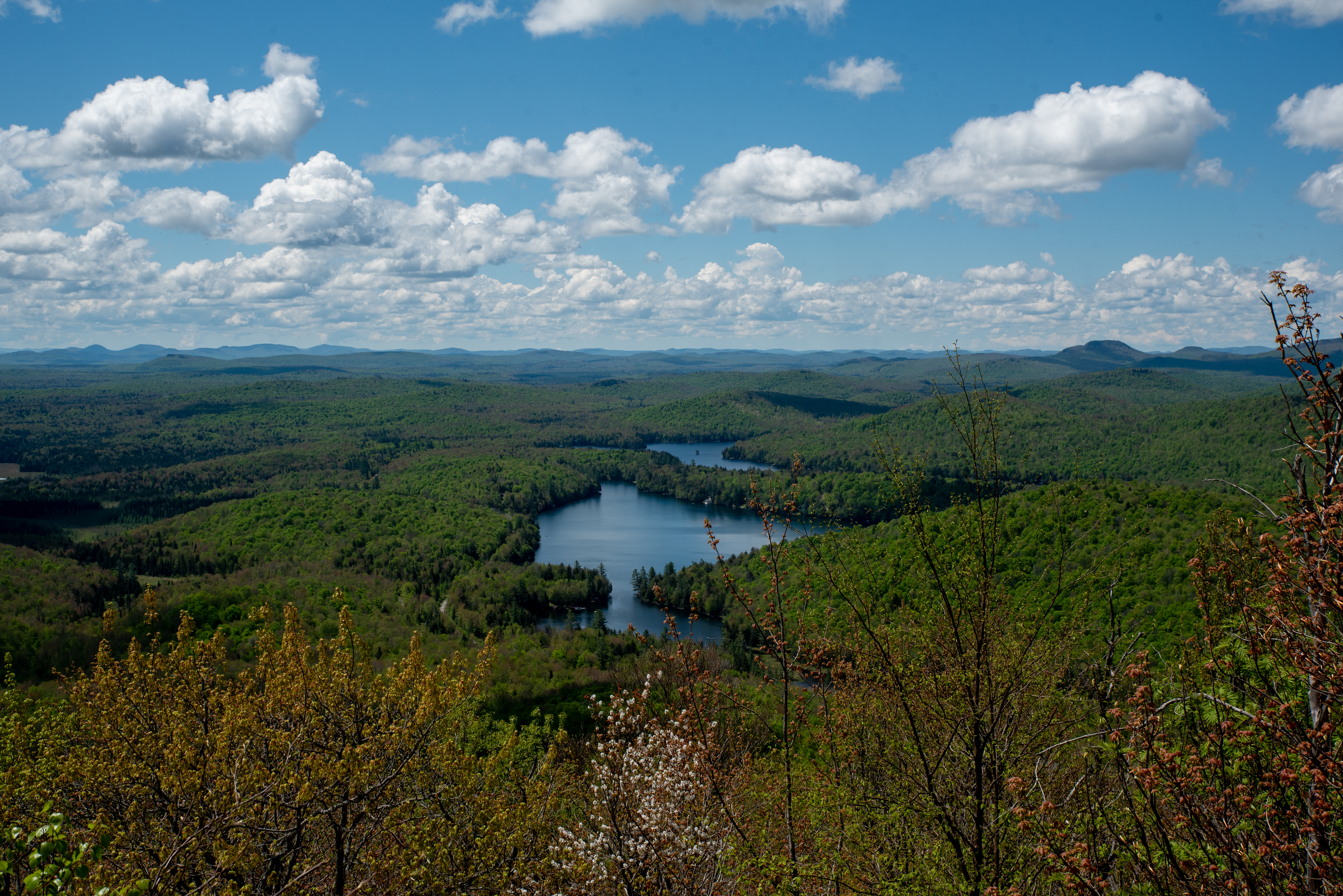 view from mt arab