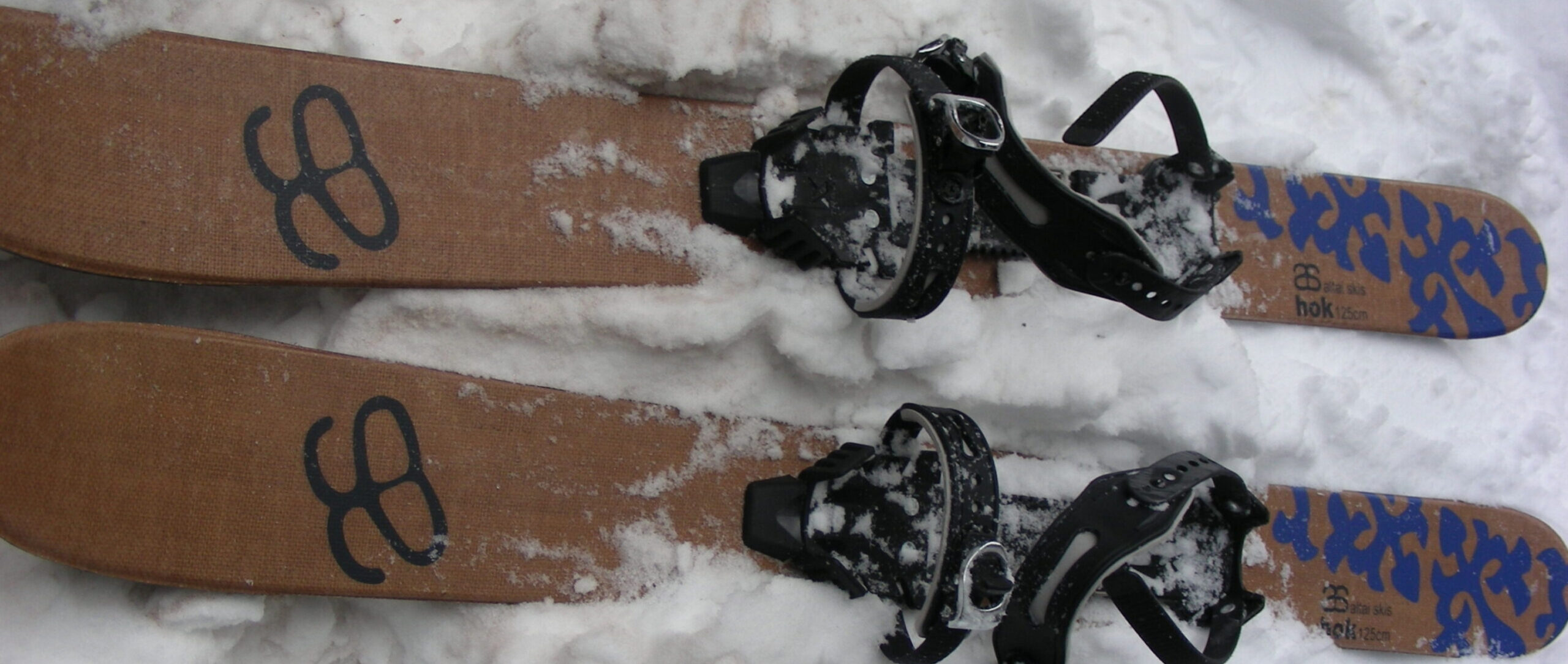altai hok skis in the snow