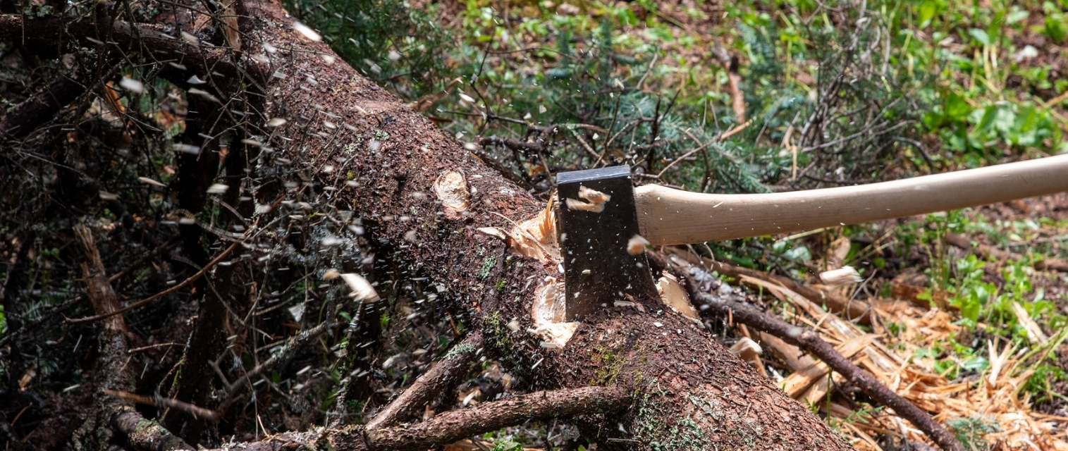 close up image of an axe chopping a log