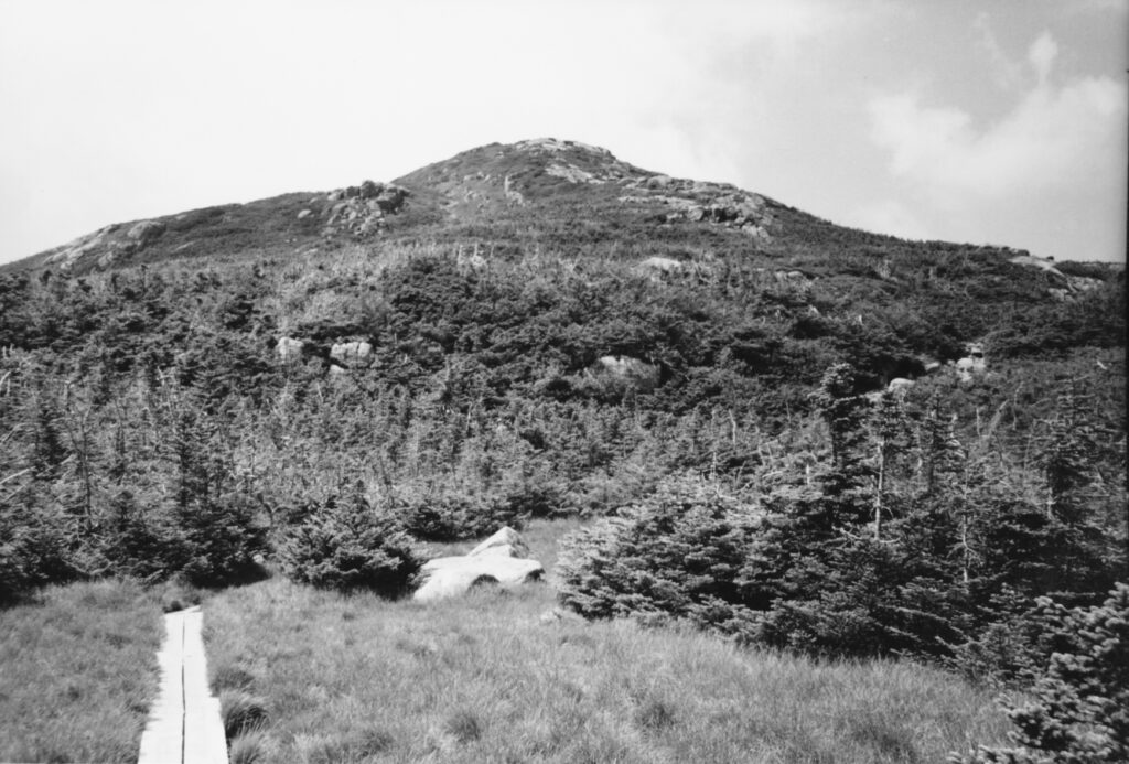 black and white photo of plank bridge to mount marcy