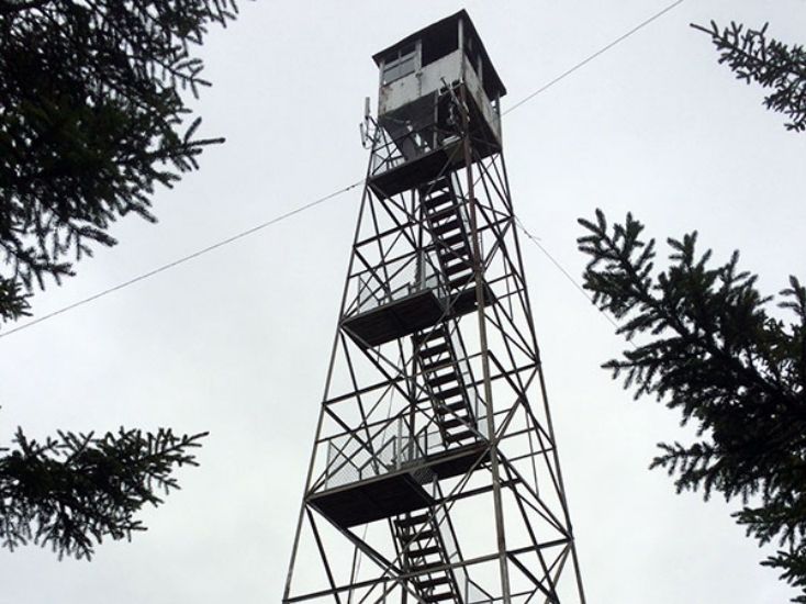 looking up at Goodnow fire tower