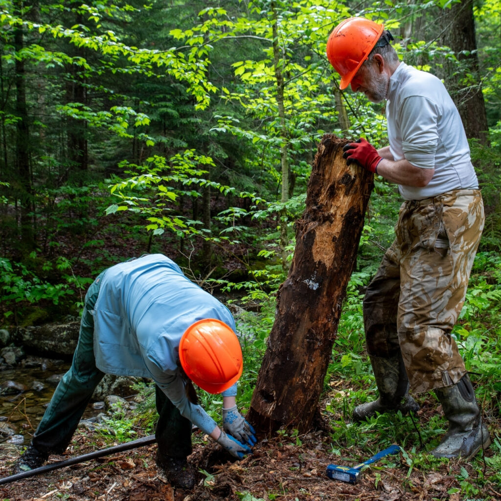 national trails day volunteers move old log from bridge