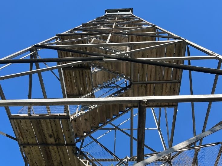 looking up from the base of the Spruce Mt fire tower