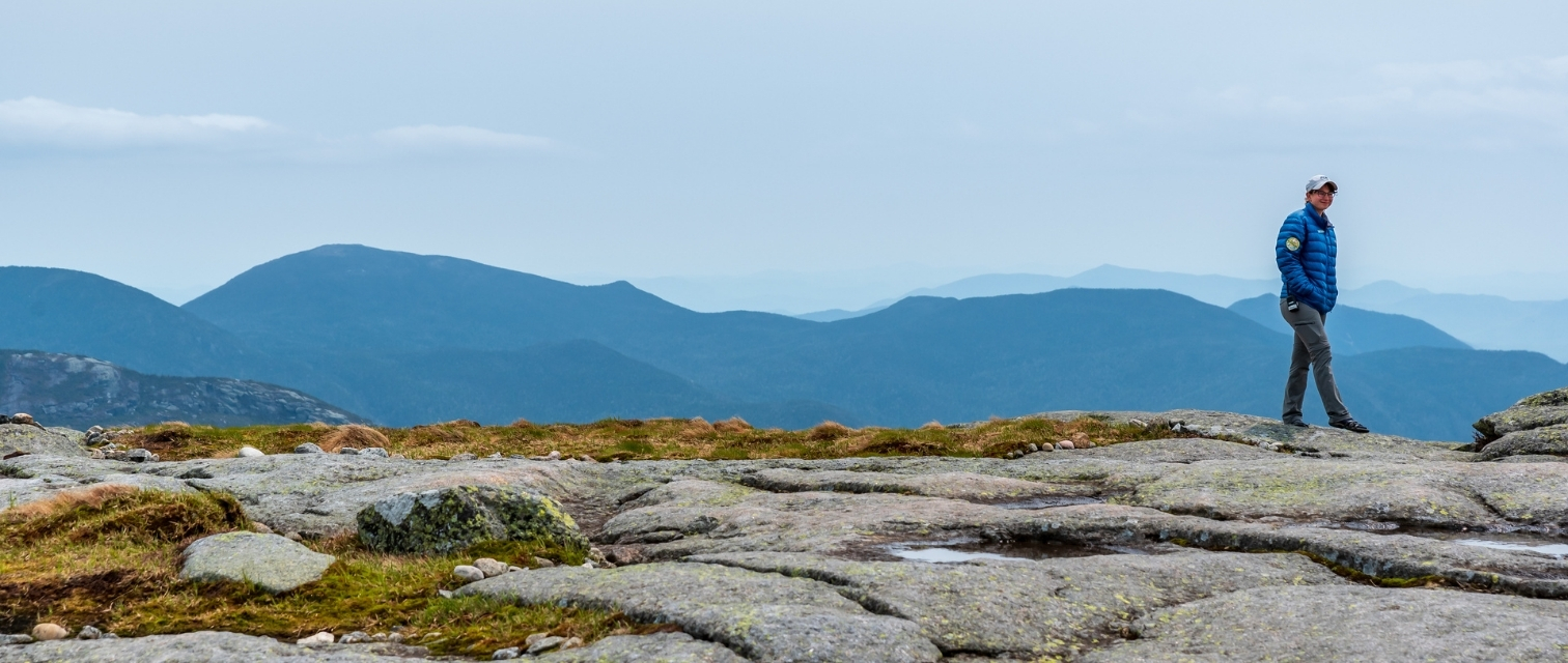 summit steward stands on an adirondack summit in the alpine zone