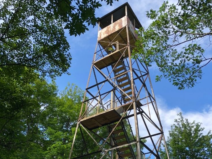 looking up at swede fire tower