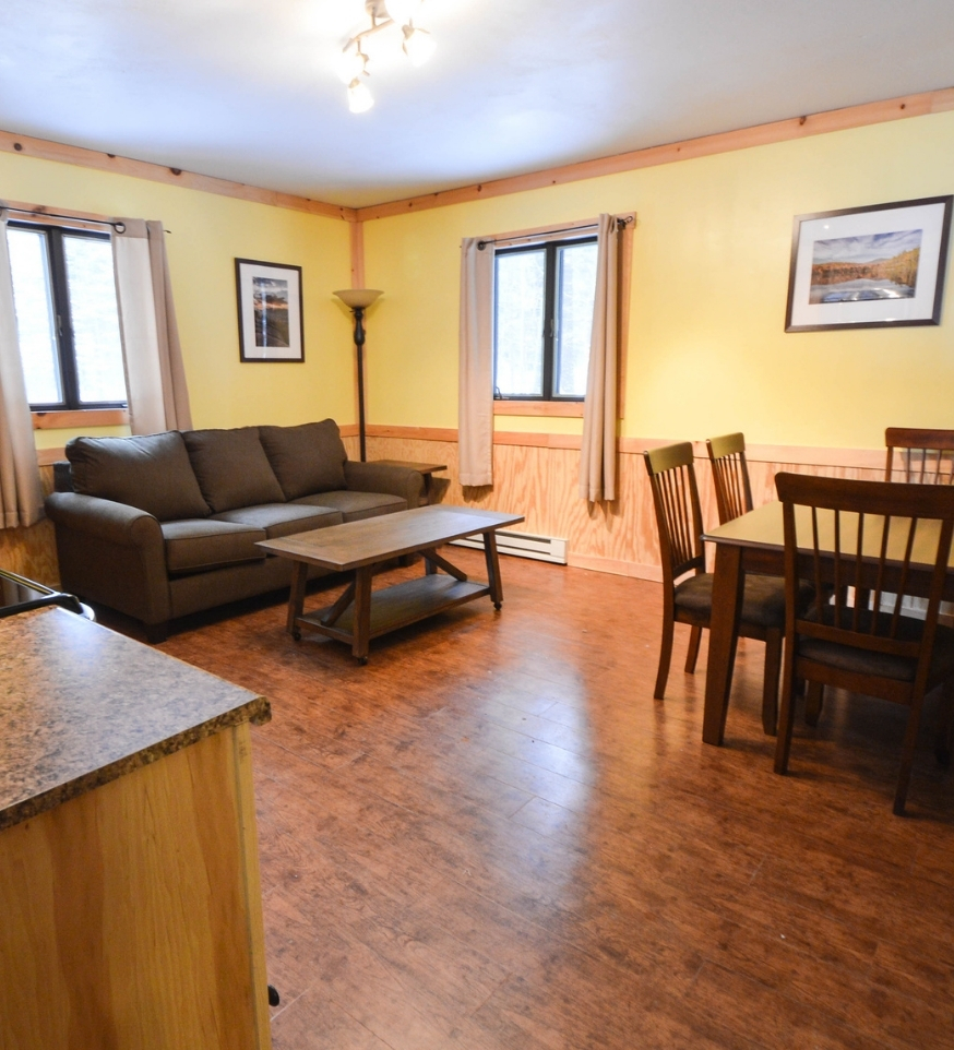 a couch and dining room table in an Adirondack cabin