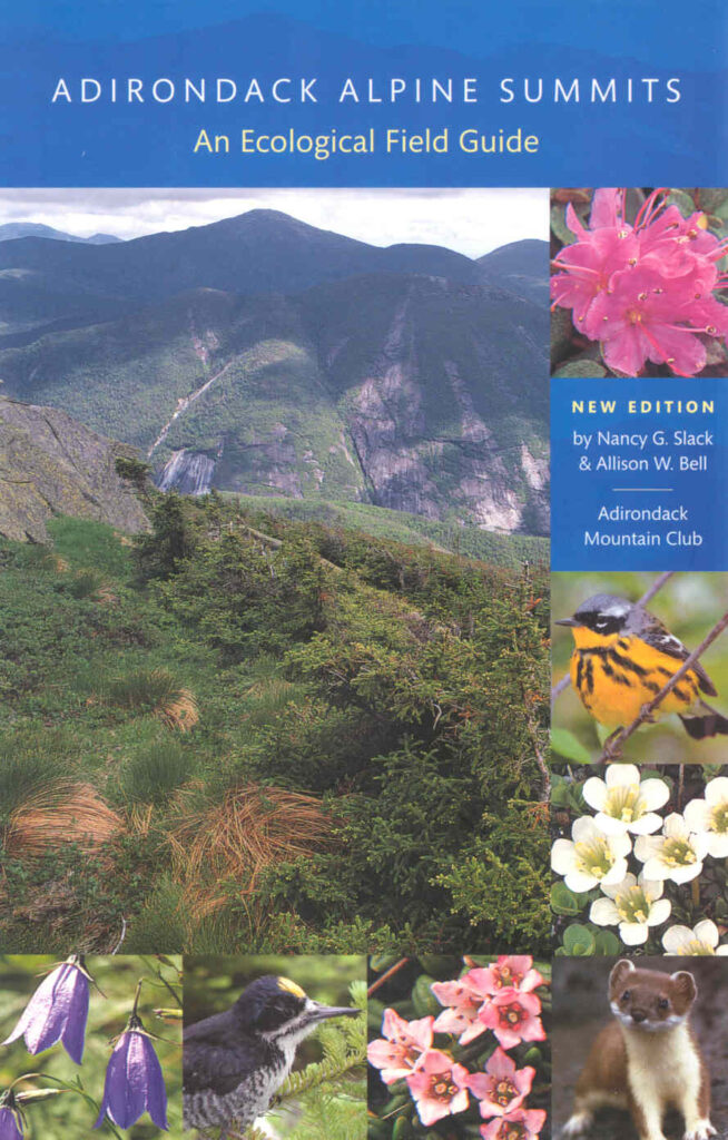 Adirondack Alpine Summits Guide cover