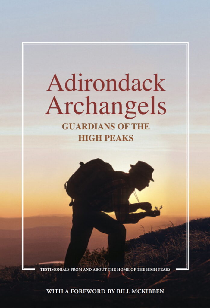 front cover of the book Adirondack Archangels