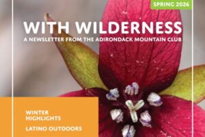 with wilderness newsletter cover