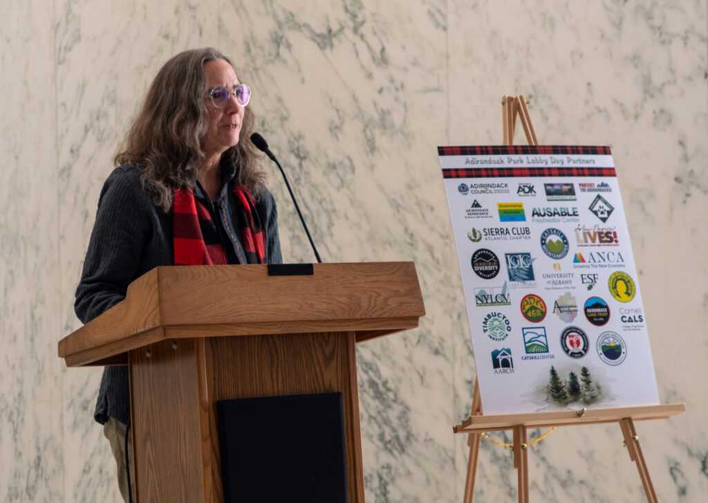 Cathy Peddler, director of advocacy standing at podium in the capital building, albany.
