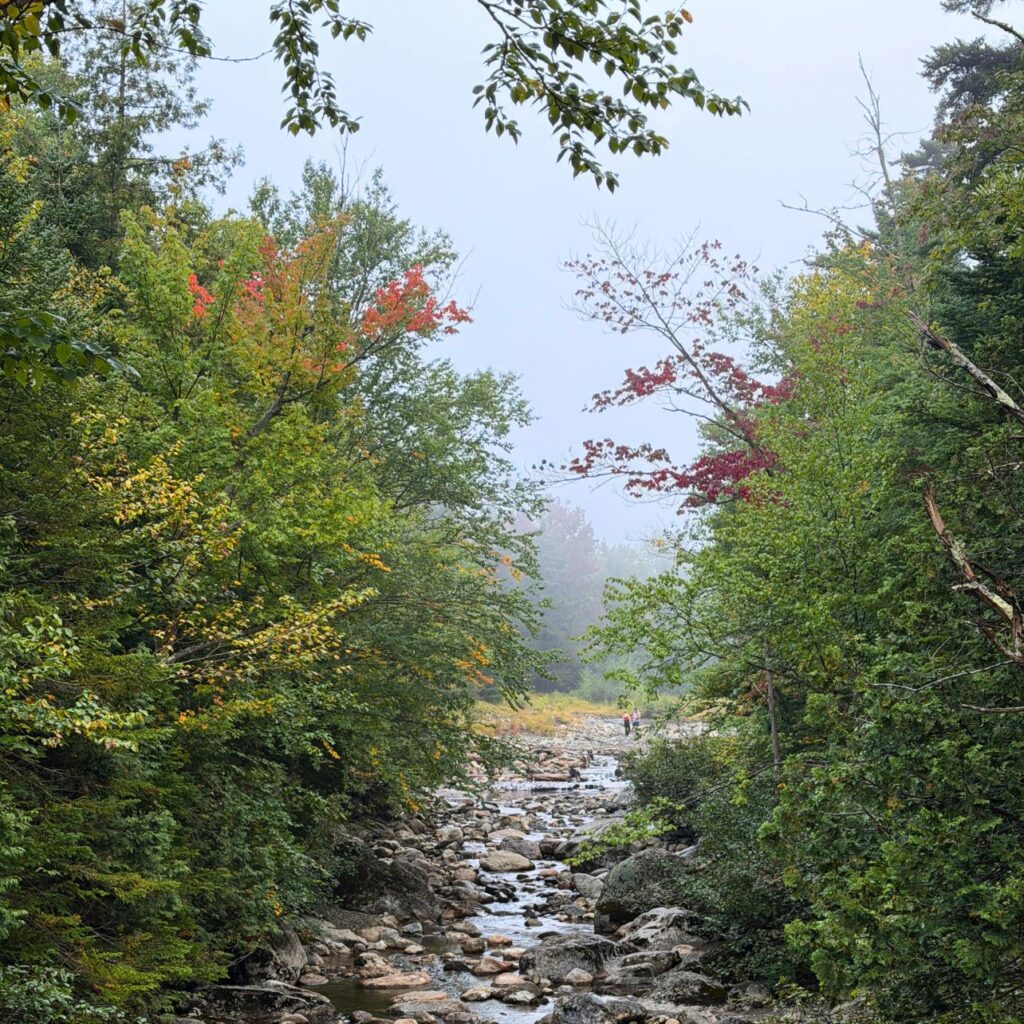 Marcy Brook early September