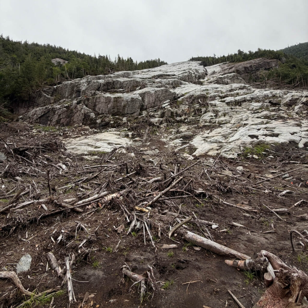 looking up at mount colden
