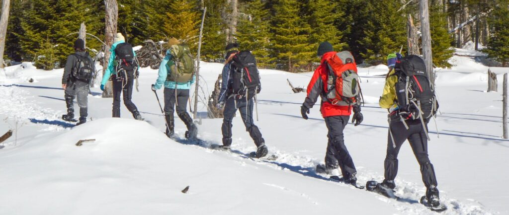 six people snowshoeing on an Adirondack trail