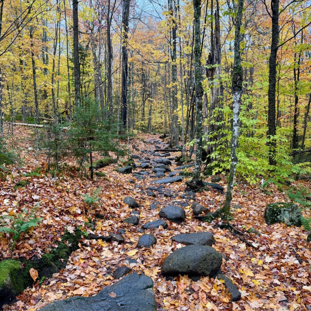 a rocky hiking trail covered in leaves in autumn in the adirondacks